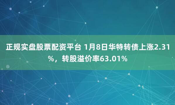 正规实盘股票配资平台 1月8日华特转债上涨2.31%，转股溢价率63.01%